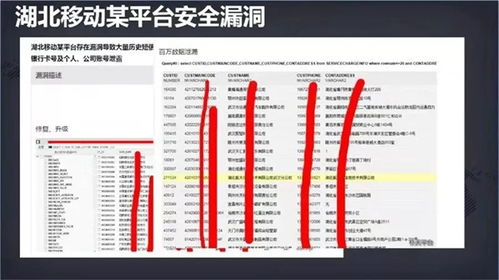 守護數(shù)字身份 網(wǎng)絡安全周下，應對個人信息泄露與安全軟件的選擇之道